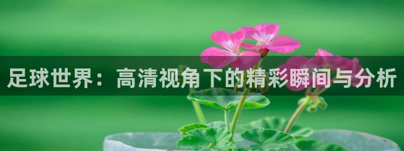 足球世界：高清视角下的精彩瞬间与分析