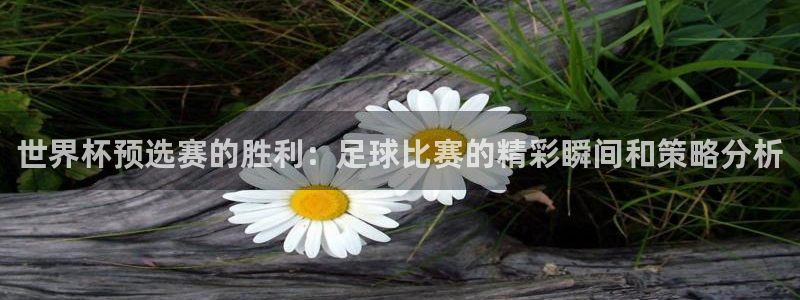 世界杯预选赛的胜利：足球比赛的精彩瞬