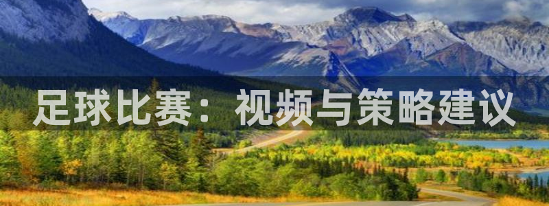 足球比赛：视频与策略建议