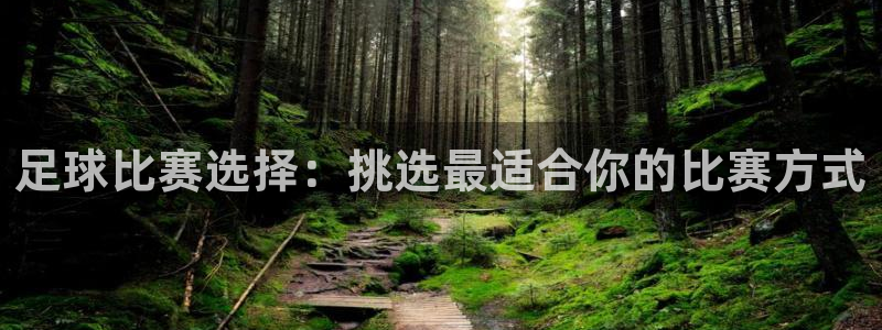 足球比赛选择：挑选最适合你的比赛方式