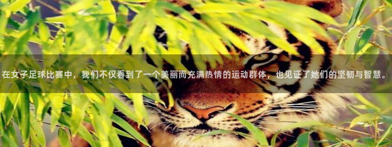  在女子足球比赛中，我们不仅看到了一个美丽而充满热情的运动群体