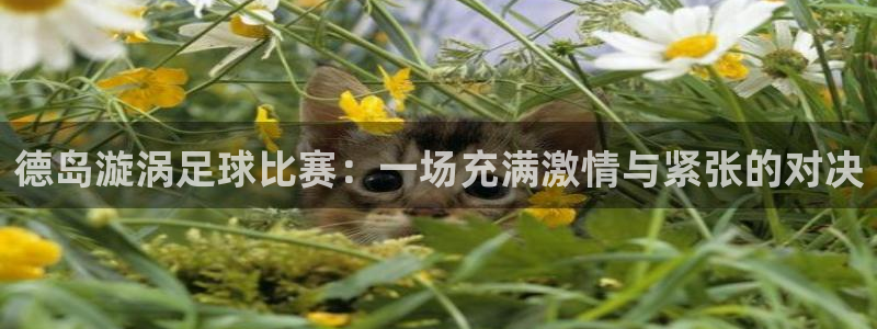 德岛漩涡足球比赛：一场充满激情与紧张的对决