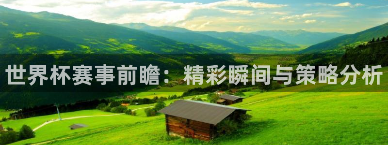 世界杯赛事前瞻：精彩瞬间与策略分析