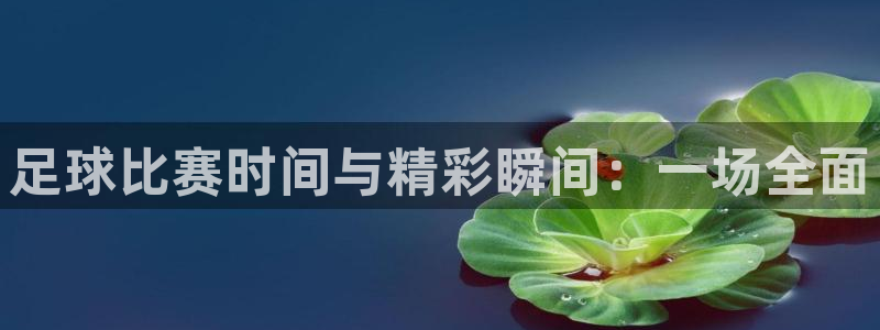  足球比赛时间与精彩瞬间：一场全面