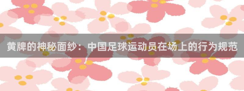 黄牌的神秘面纱：中国足球运动员在场上的行为规范