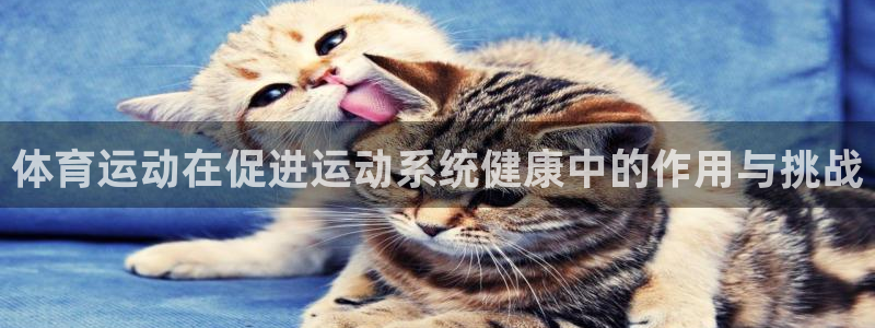 球客岛：体育运动在促进运动系统健康中的作用与挑战