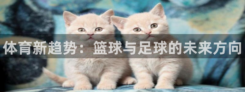 球客岛