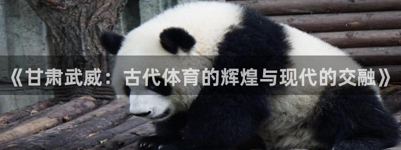 球客岛：《甘肃武威：古代体育的辉煌与现代的交融》