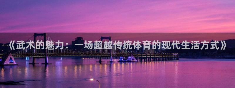 球客岛：《武术的魅力：一场超越传统体育的现代生活方式》