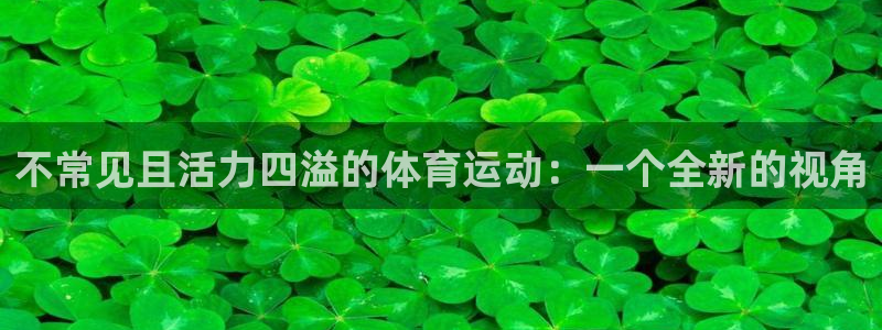 球客岛：不常见且活力四溢的体育运动：一个全新的视角
