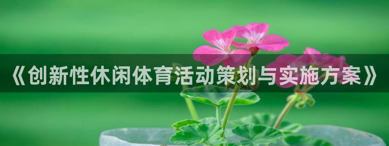 球客岛：《创新性休闲体育活动策划与实施方案》