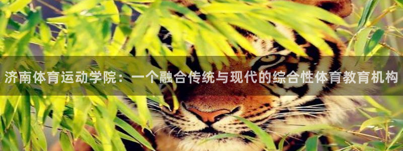 球客岛：济南体育运动学院：一个融合传统与现代的综合性体育教育机构
