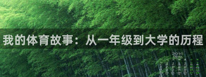 球客岛：我的体育故事：从一年级到大学的历程