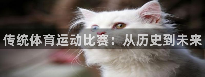 球客岛：传统体育运动比赛：从历史到未来