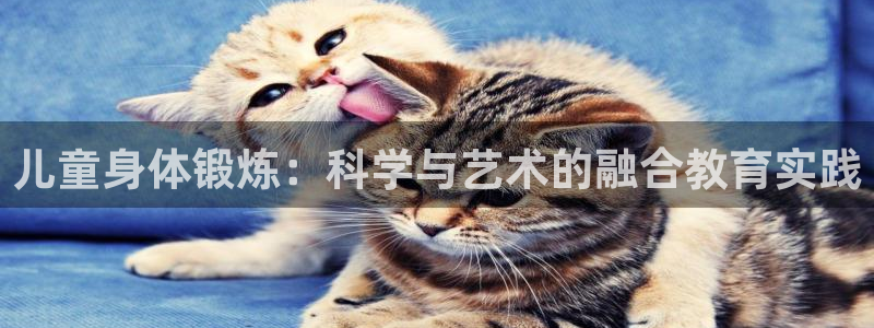 球客岛：儿童身体锻炼：科学与艺术的融合教育实践