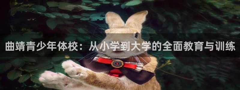 球客岛：曲靖青少年体校：从小学到大学的全面教育与训练