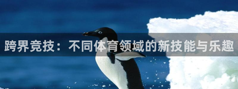 球客岛：跨界竞技：不同体育领域的新技能与乐趣
