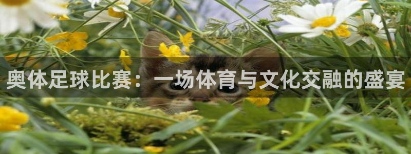 奥体足球比赛：一场体育与文化交融的盛