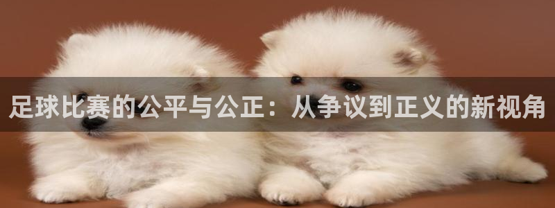 足球比赛的公平与公正：从争议到正义的