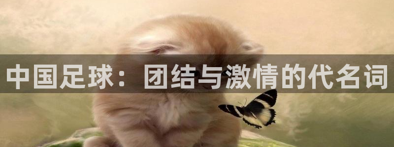 中国足球：团结与激情的代名词