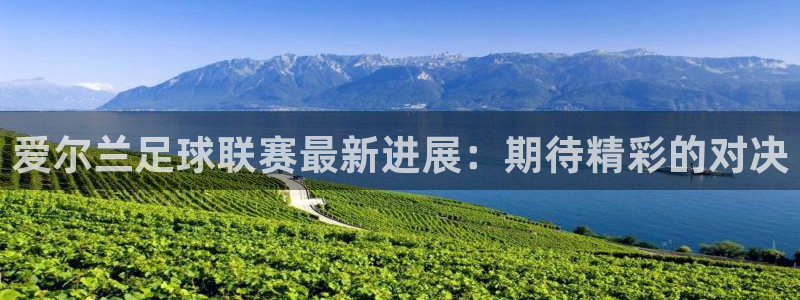 爱尔兰足球联赛最新进展：期待精彩的对