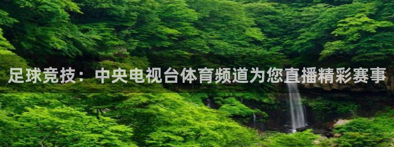 足球竞技：中央电视台体育频道为您直播