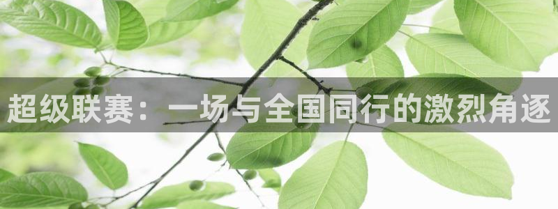 超级联赛：一场与全国同行的激烈角逐
