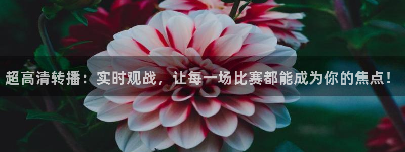 超高清转播：实时观战，让每一场比赛都