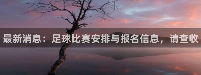 最新消息：足球比赛安排与报名信息，请