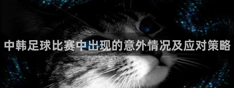 中韩足球比赛中出现的意外情况及应对策