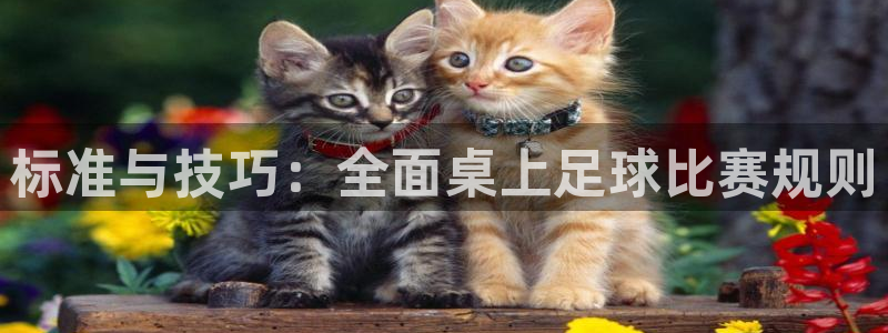 标准与技巧：全面桌上足球比赛规则
