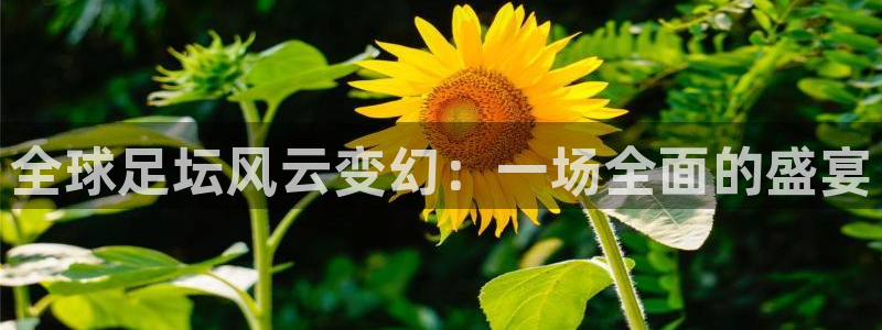 全球足坛风云变幻：一场全面的盛宴