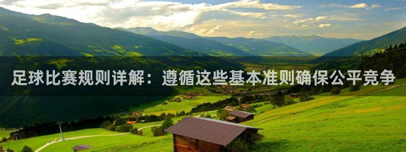 足球比赛规则详解：遵循这些基本准则确