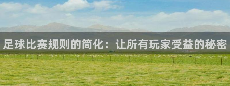 足球比赛规则的简化：让所有玩家受益的